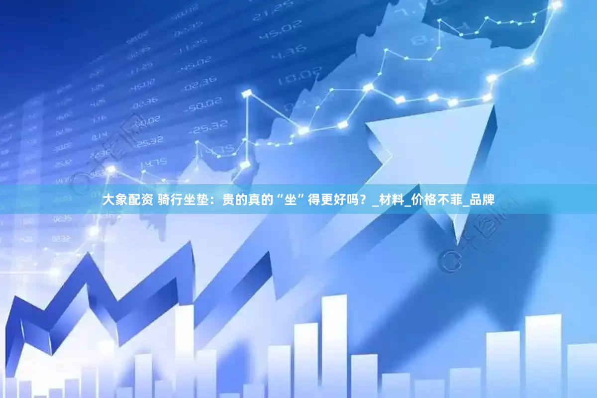 大象配资 骑行坐垫：贵的真的“坐”得更好吗？_材料_价格不菲_品牌