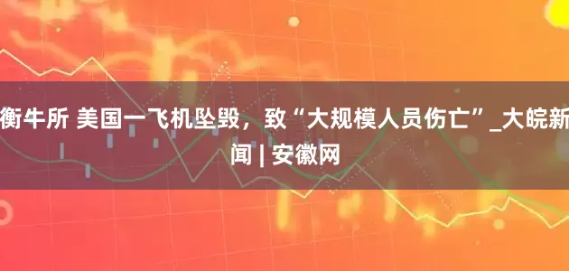 衡牛所 美国一飞机坠毁，致“大规模人员伤亡”_大皖新闻 | 安徽网