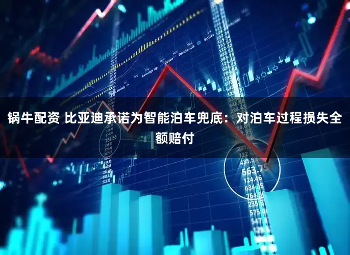 锅牛配资 比亚迪承诺为智能泊车兜底：对泊车过程损失全额赔付