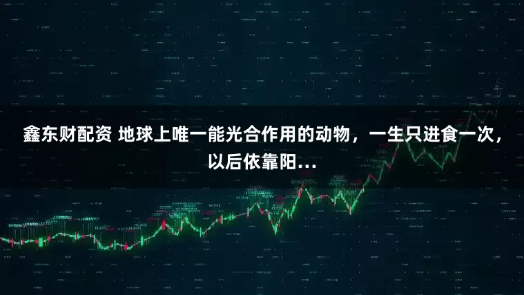 鑫东财配资 地球上唯一能光合作用的动物，一生只进食一次，以后依靠阳…