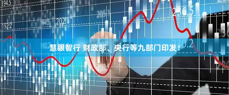 慧眼智行 财政部、央行等九部门印发！