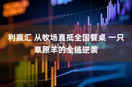 利赢汇 从牧场直抵全国餐桌 一只草原羊的全链逆袭