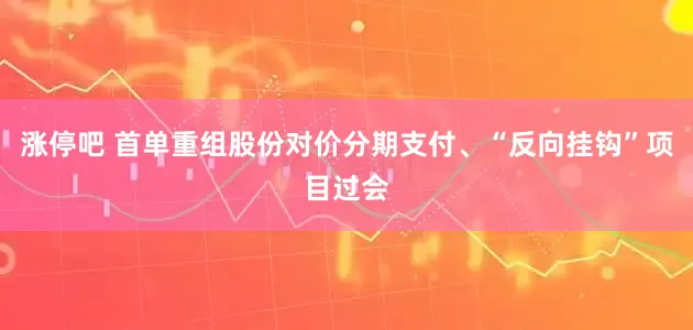 涨停吧 首单重组股份对价分期支付、“反向挂钩”项目过会